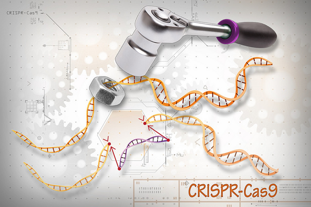 Edit or not to edit? Genome editing with CRISPR