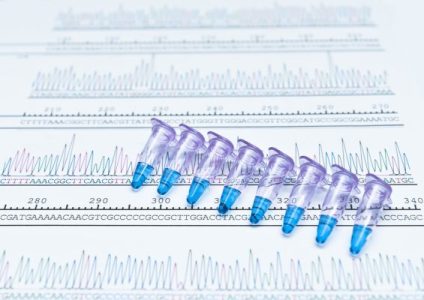 What is PCR?